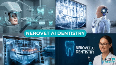 Nerovet AI Dentistry